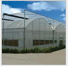 GreenhouseGreenhouse