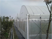  Our company was founded in 1993 which was formerly known as Venus agricultural greenhouse pipe factory. The name was changed to shed pipe Limited company in 1997, and the establishment of Xinda agricultural greenhouse sets ltd.. We already build up a combination of production, design, sales, installation in the agricultural science and technology company which is equipped with 3 senior technical staffs, 7 technicists and more than 150 ordinary staffs, we also employed a number of experts to be the technical and management consultants. 