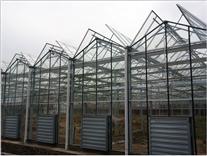 GreenhouseGreenhouse