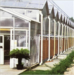 Multi-span greenhouse 