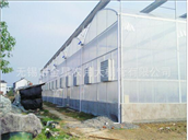 Multi-span greenhouse 