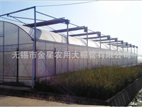 Multi-span greerMulti-span greenhouse