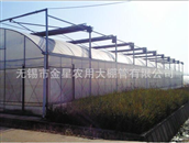 Multi-span greenhouse 