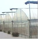 Multi-span greerMulti-span greenhouse