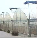 Multi-span greenhouse 