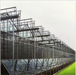  Our company was founded in 1993 which was formerly known as Venus agricultural greenhouse pipe factory. The name was changed to shed pipe Limited company in 1997, and the establishment of Xinda agricultural greenhouse sets ltd.. We already build up a combination of production, design, sales, installation in the agricultural science and technology company which is equipped with 3 senior technical staffs, 7 technicists and more than 150 ordinary staffs, we also employed a number of experts to be the technical and management consultants. 