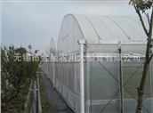 Greenhouse2 