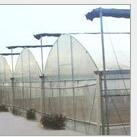 Vegetable greenhouse 