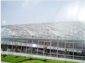 Vegetable greenhouse 