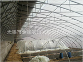 Vegetable greenhouse 