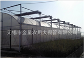 Vegetable greenhouse 