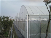 Intelligent Greenhouse 