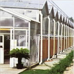 Glass greenhouse 