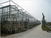 Glass greenhouse 