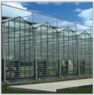 Glass greenhouse 