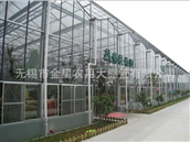 Glass greenhouse 