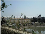 Our company was founded in 1993 which was formerly known as Venus agricultural greenhouse pipe factory. The name was changed to shed pipe Limited company in 1997, and the establishment of Xinda agricultural greenhouse sets ltd.. We already build up a combination of production, design, sales, installation in the agricultural science and technology company which is equipped with 3 senior technical staffs, 7 technicists and more than 150 ordinary staffs, we also employed a number of experts to be the technical and management consultants.
