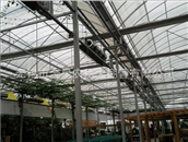 Glass greenhouse 