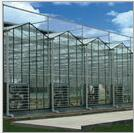Glass greenhouseGlass greenhouse
