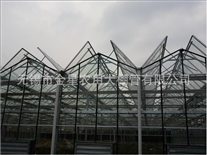 Glass greenhouseGlass greenhouse